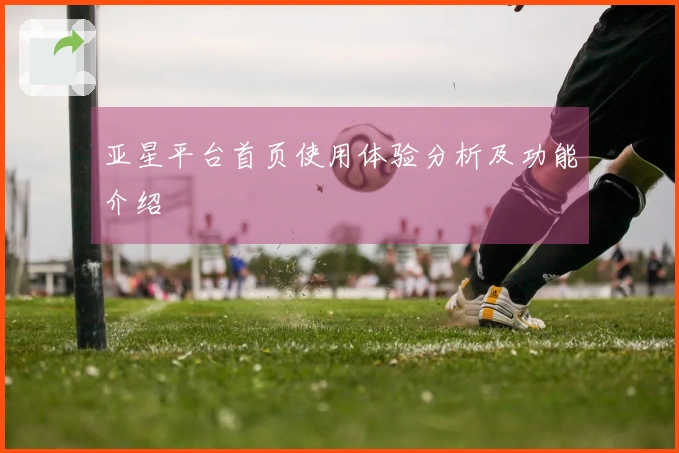亚星平台首页使用体验分析及功能介绍